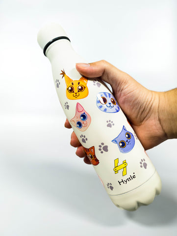 Whisker Fizz | Insulated | Stainless Steel | Water Bottle | 500ml