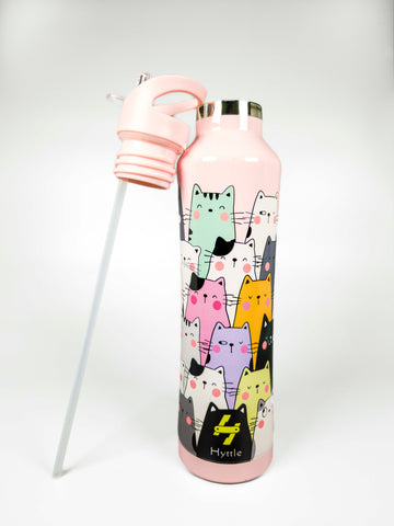 Cattitude | Insulated | Stainless Steel | Water Bottle | 750ml