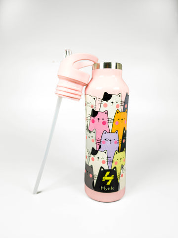 Cattitude | Insulated | Stainless Steel | Water Bottle | 500ml